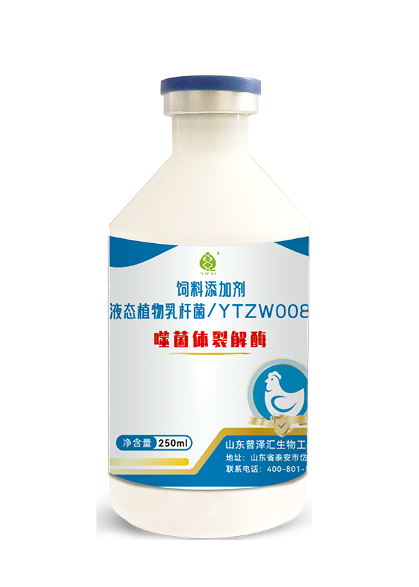 液态植物乳杆菌/YTZW008  噬菌体裂解酶 饲料添加剂